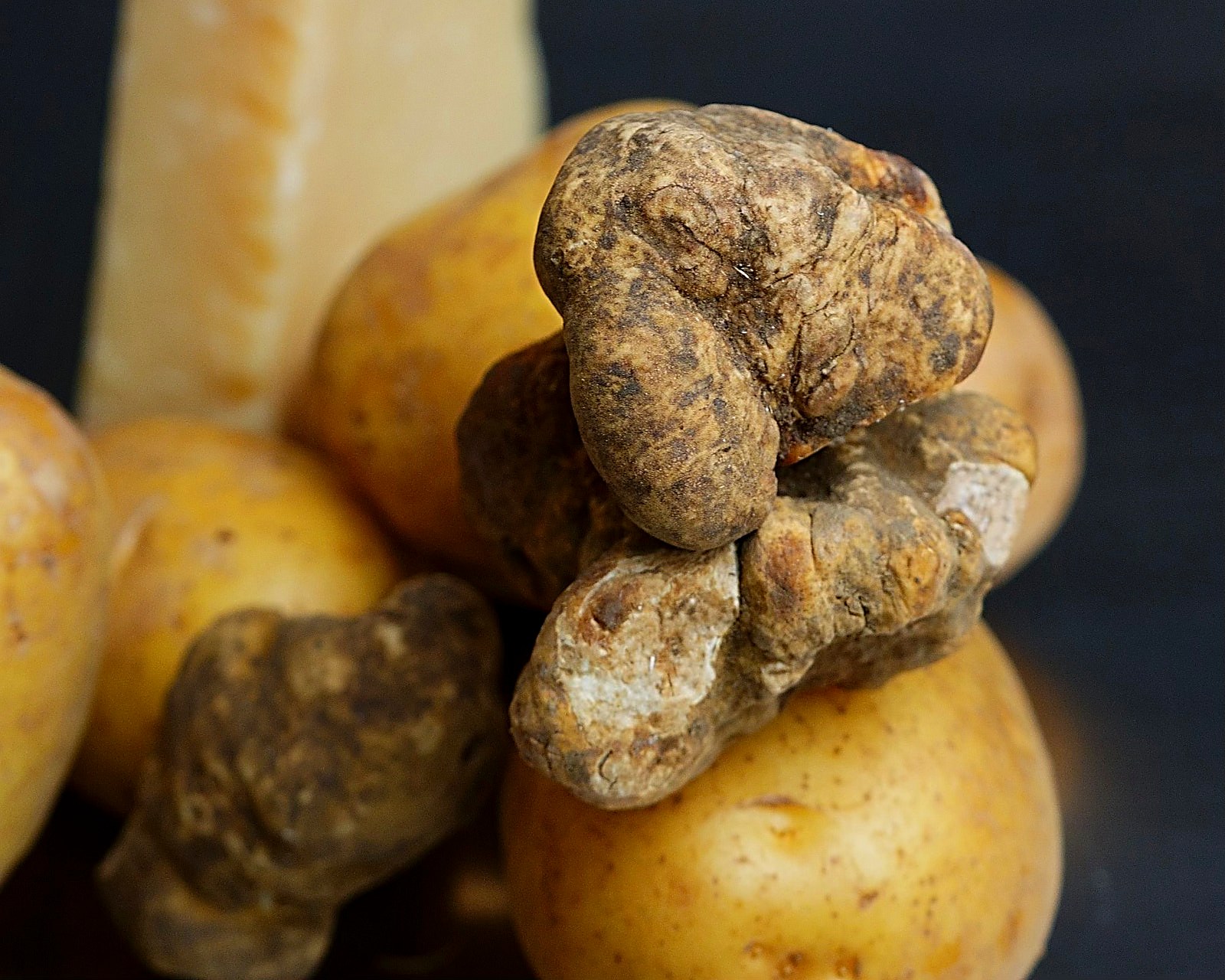 Weiße Trüffel und Kartoffeln
